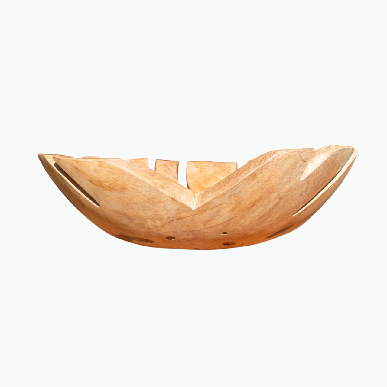 Monster leaf